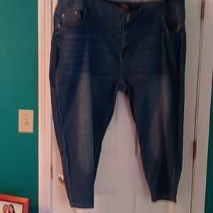 BloomChic Skinny Jeans Sz 30